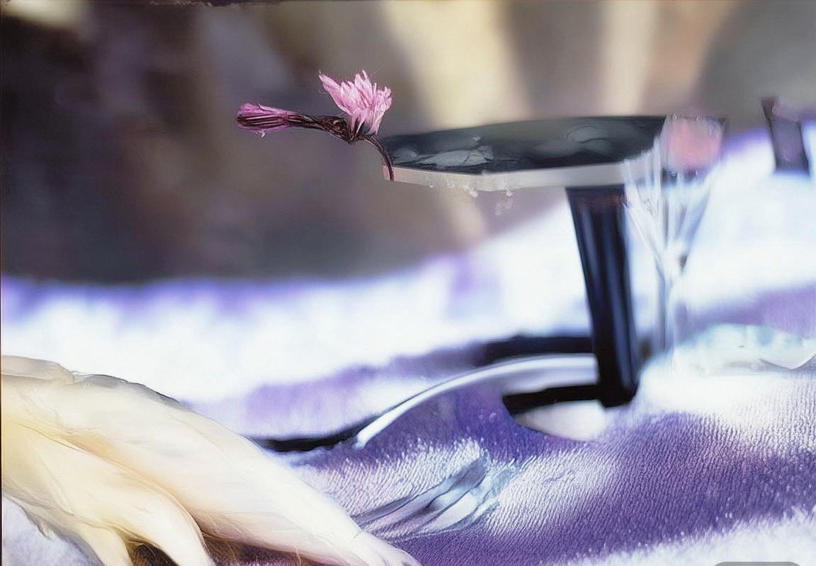 篮球盛宴：辽深之战激情瞬间回顾(图3)