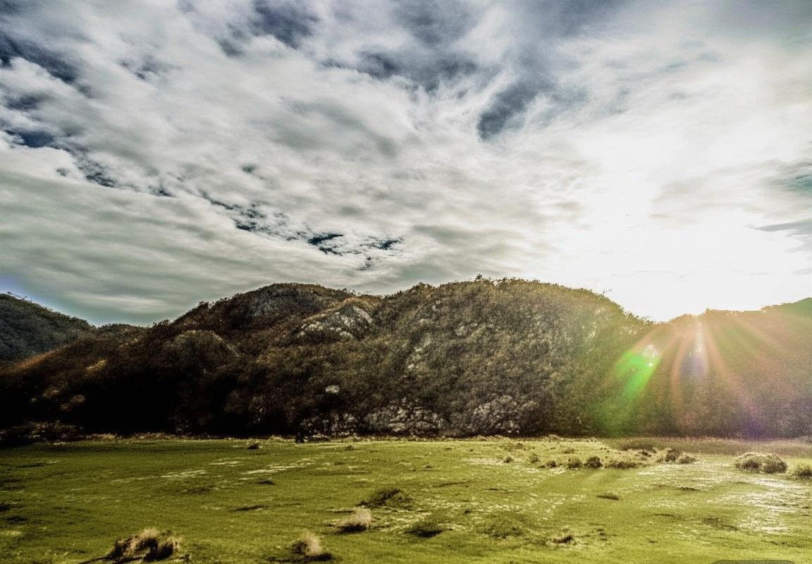 2020马龙樊振东巅峰对决：传承与智慧对决记(图5)